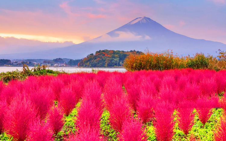 One-day tour to Mount Fuji's popular attractions 2