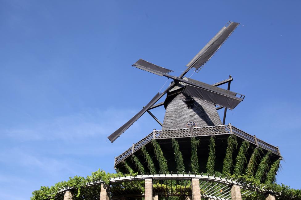 Potsdam Half-Day Tour | Berlin
