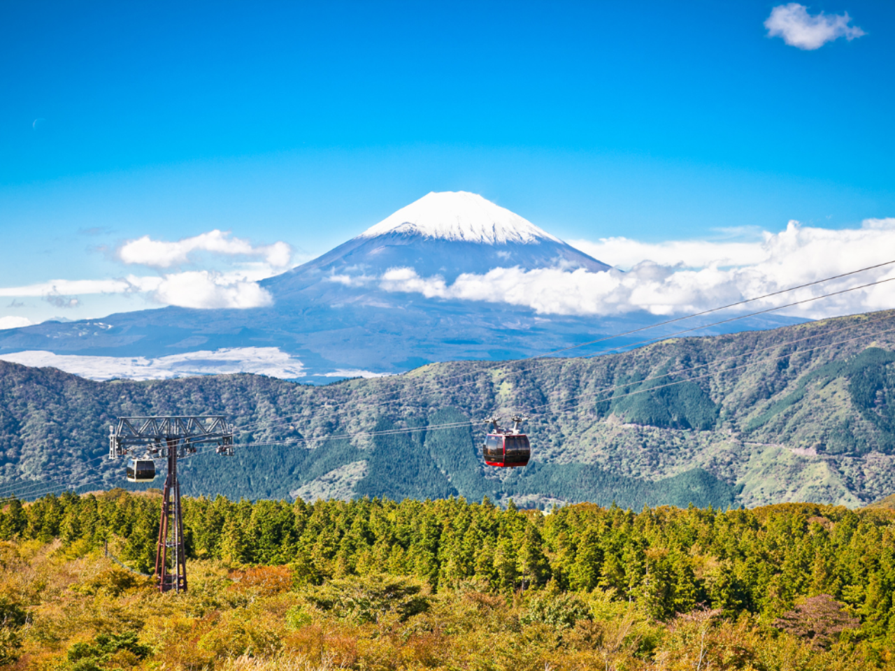 Mt. Fuji & Hakone Day Tour from Tokyo 4