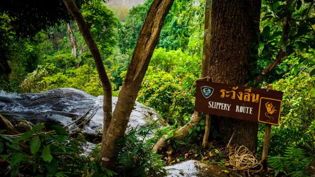Chiang Mai Sticky Waterfall 2