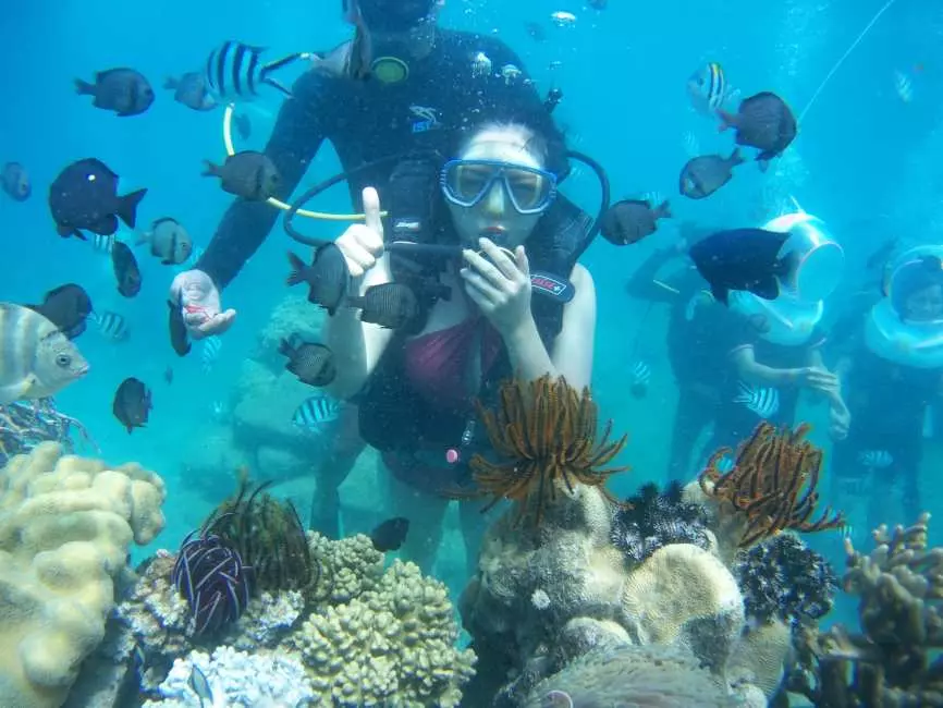 Southern Phu Quoc Scuba Diving Experience| Phu Quoc, VietNam 3