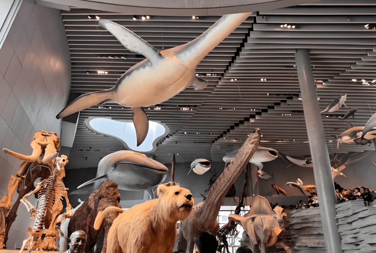 Shanghai Natural History Museum: Rare Specimens & Optional Bilingual Tours 2
