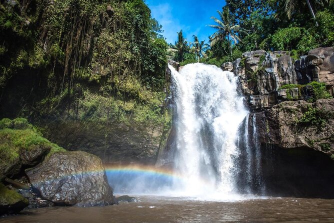 Swing and Waterfall Full Day Tour in Ubud 3
