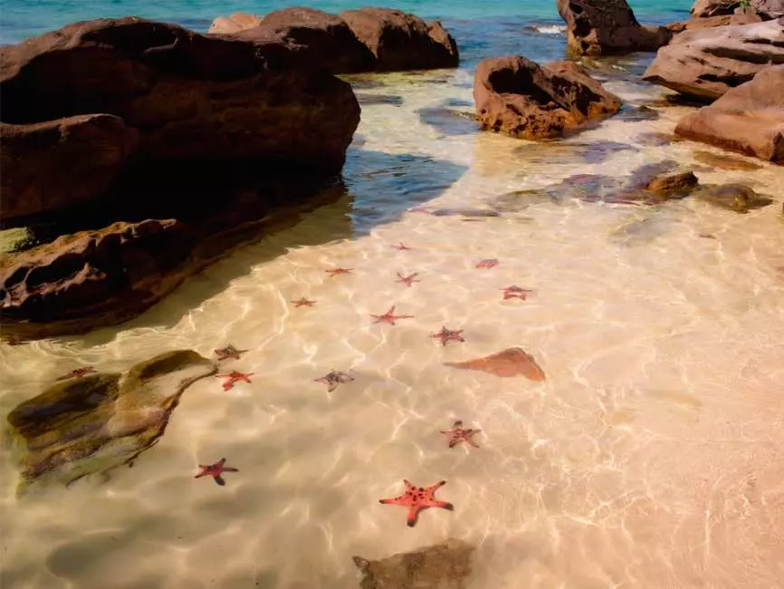 Northern Phu Quoc Day Tour: Starfish Beach, Rach Vem Village and Kayaking Experience 4