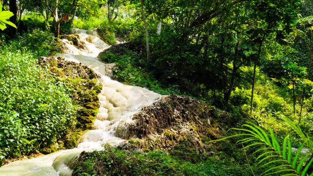 Chiang Mai Sticky Waterfall 3