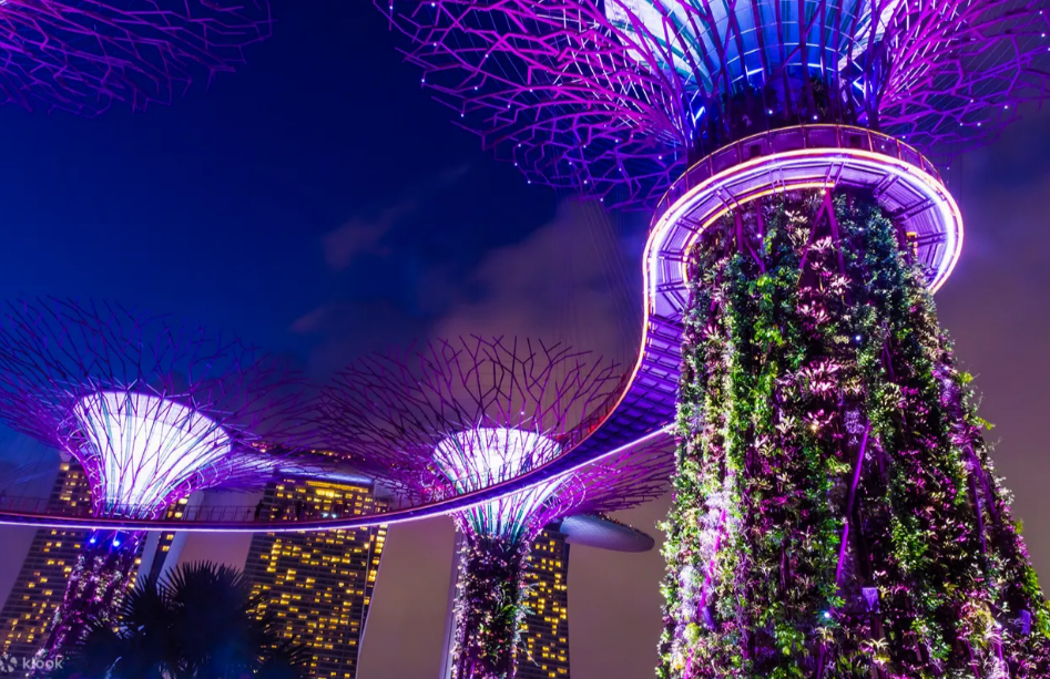 Singapore Starry Night: River Cruise, Garden Rhapsody and Spectra 4