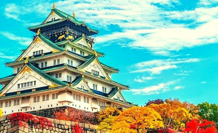 Osaka Day & Night Hotspots & Hidden Gems Tours 5