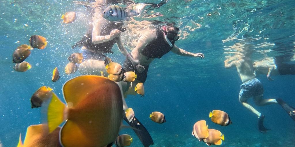 Blue Lagoon Snorkeling with Lunch & Atv Quad Bike Adventures Tour | Bali 5