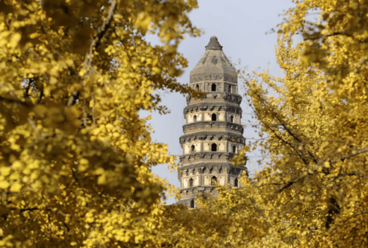 Flexible Suzhou Private Day Tour of The Classical Gardens of Suzhou 3