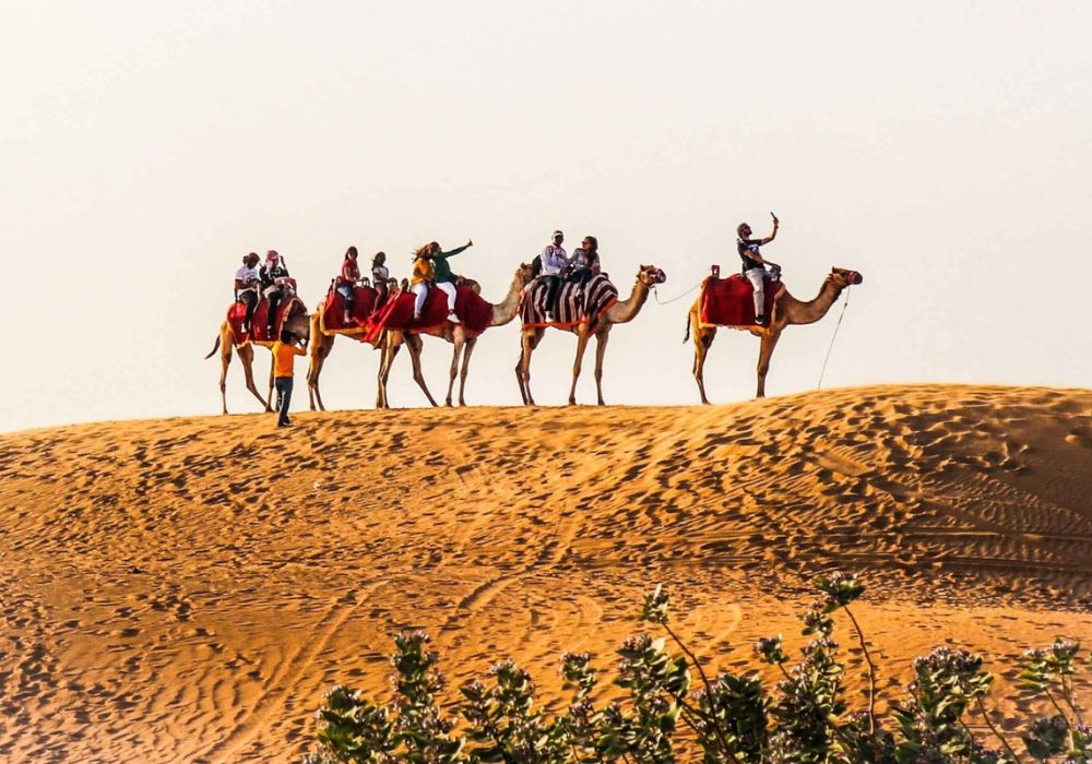 Red Dunes Evening Desert Safari & Dinner with Optional Quad Bike