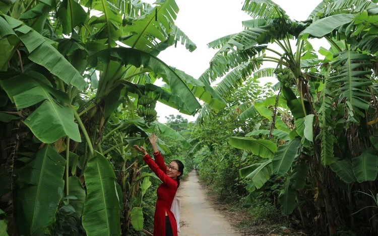 Hanoi Instagram Private Tour by Motorbike or Car 2