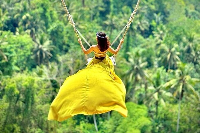 Swing and Waterfall Full Day Tour in Ubud 2