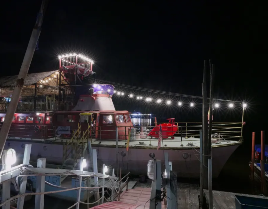 Fireflies Boat Cruise Experience in Kuala Selangor 5