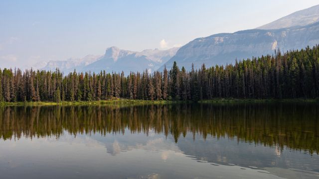 1-Day Tour from Toronto, Canada to Kuchichin Lake + Honeymoon Lake + Huntsville Town + Algonquin Provincial Park