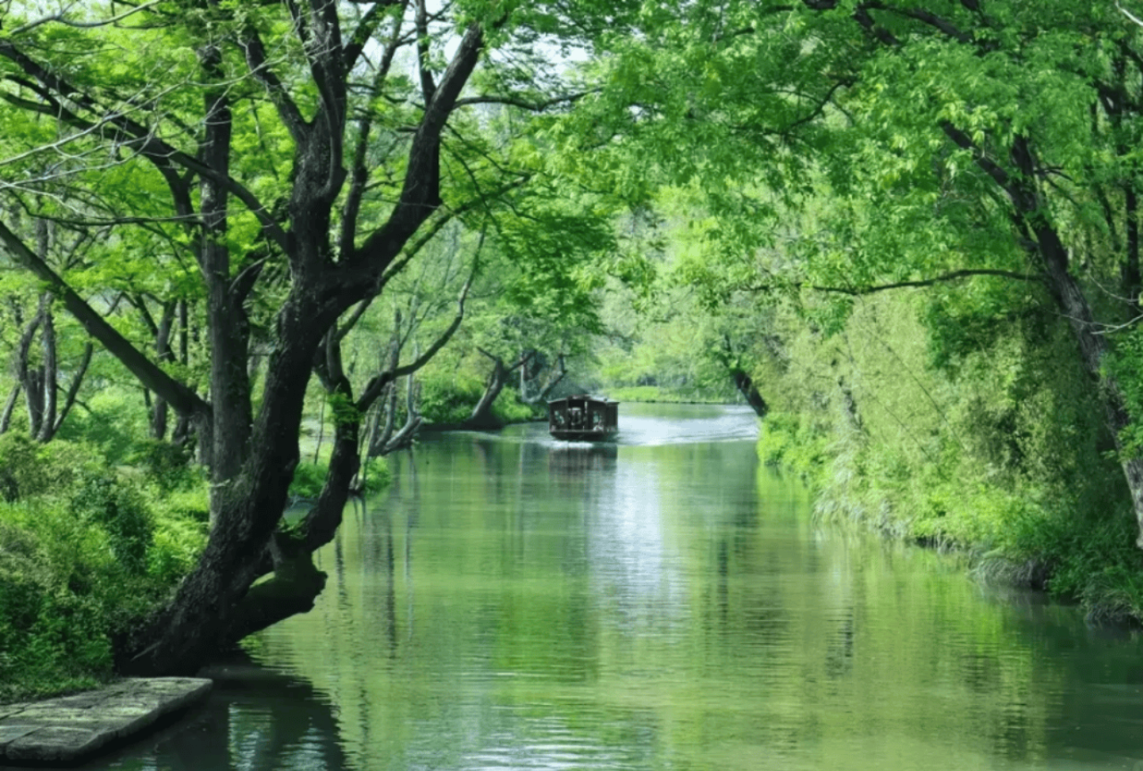 Hangzhou 1-Day Tour: Xixi National Wetland Park & Longjing Village