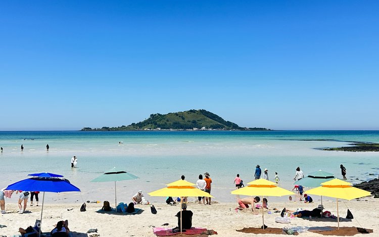 Jeju Healing UNESCO Small Group Day Tour (East/West/South)