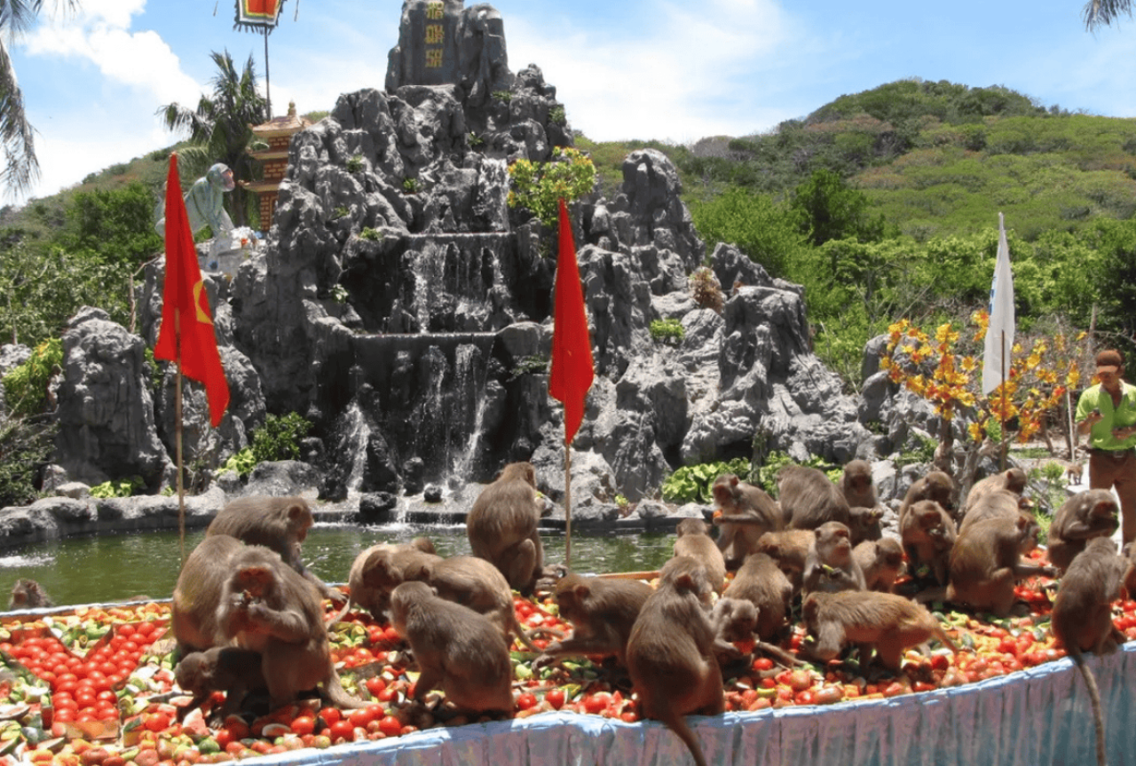 芽扶湾一日游 4