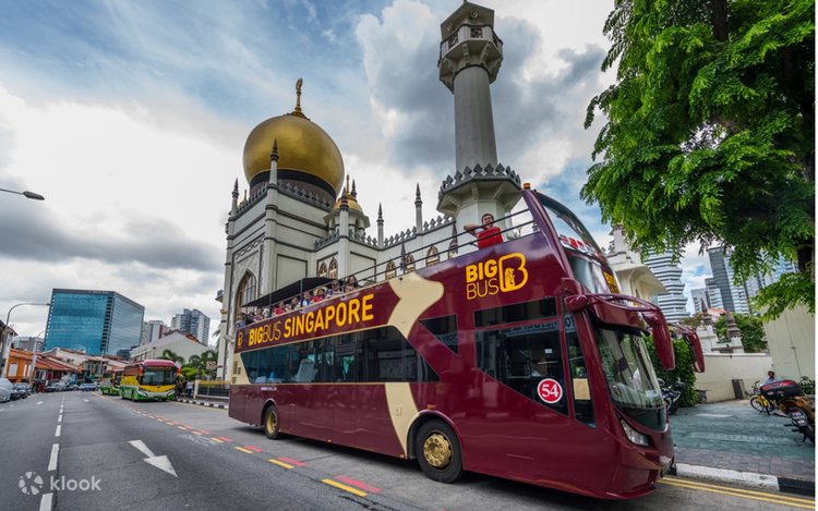 Big Bus Singapore Hop On Hop Off Tour (Open-Top) 3