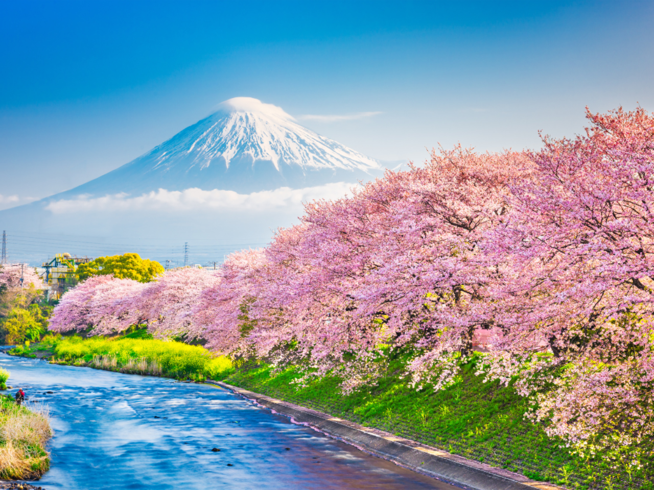 One-day tour to Mount Fuji's popular attractions 3