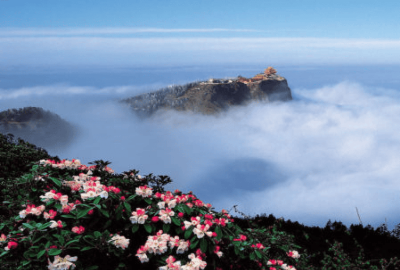 Leshan Giant Buddha & Mount Emei Day Trip (Leshan Tickets Included) 2