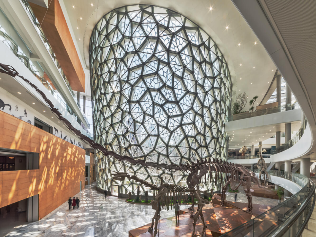 Shanghai Natural History Museum Half-Day Tour (2-hour in-depth course + optional entrance fee) 4