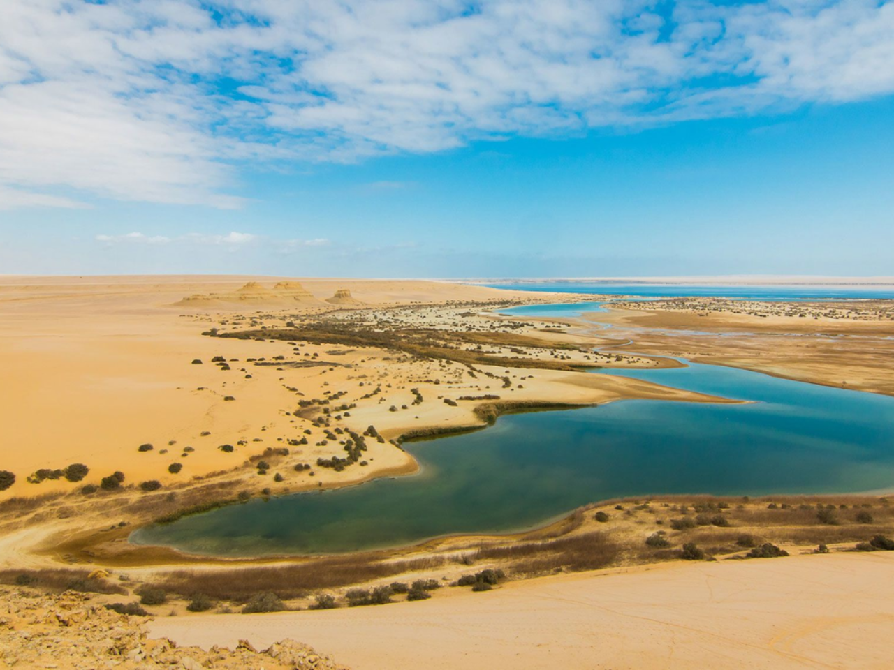 All inclusive- Day Tour to El Fayoum from Cairo 5