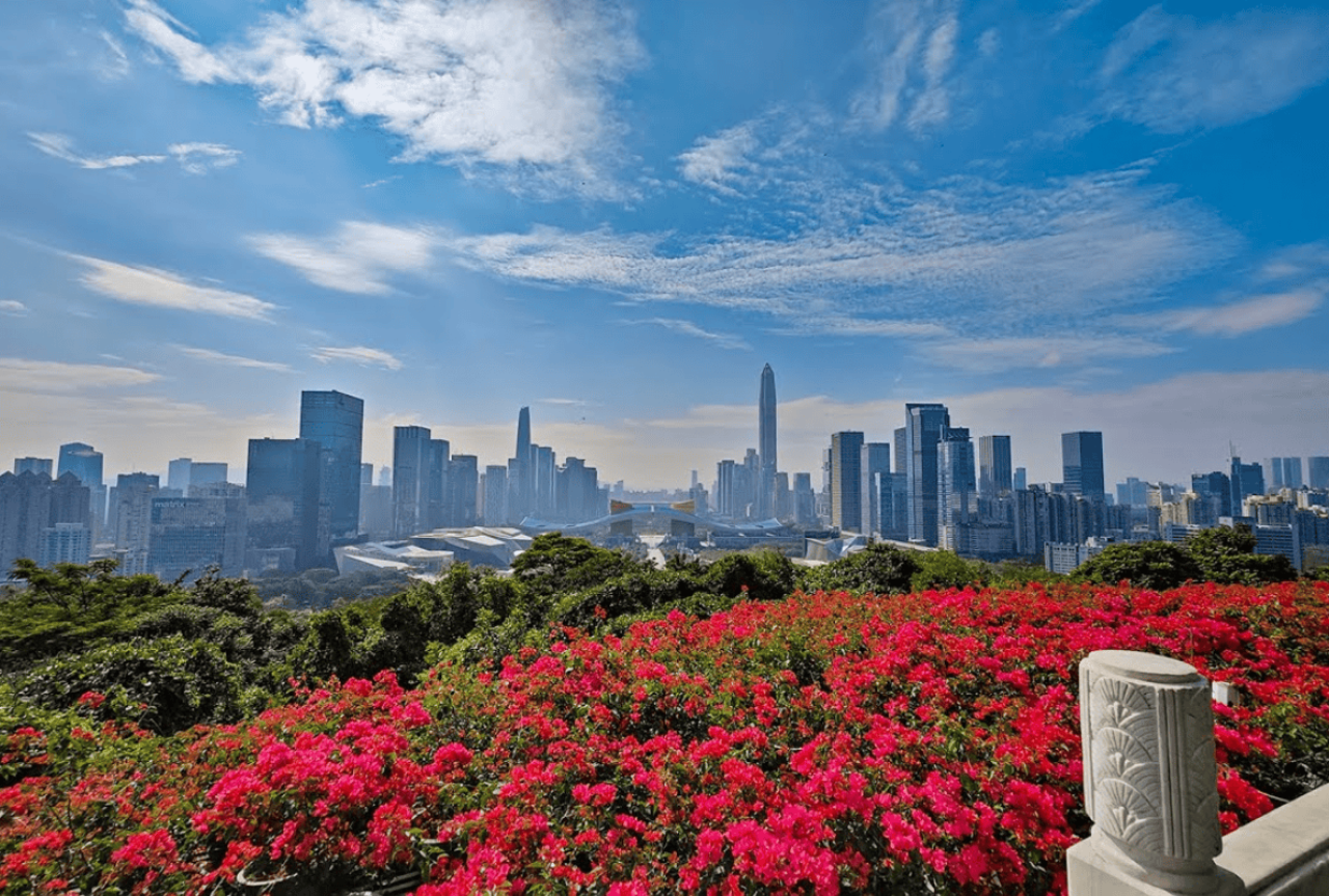 Shenzhen Day Tour: Happy Coast Dreamland, Lianhuashan Park & Gankeng Ancient Town 5