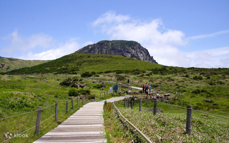 [For Cruise Guests] Jeju Shore Excursion Day Tour 2