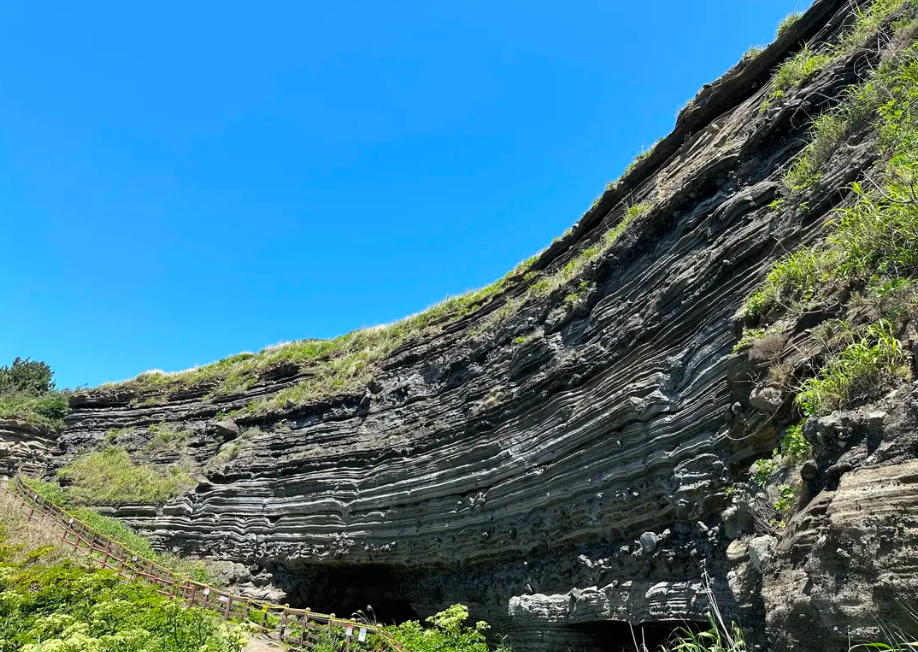 Jeju Healing UNESCO Small Group Day Tour (East/West/South) 5