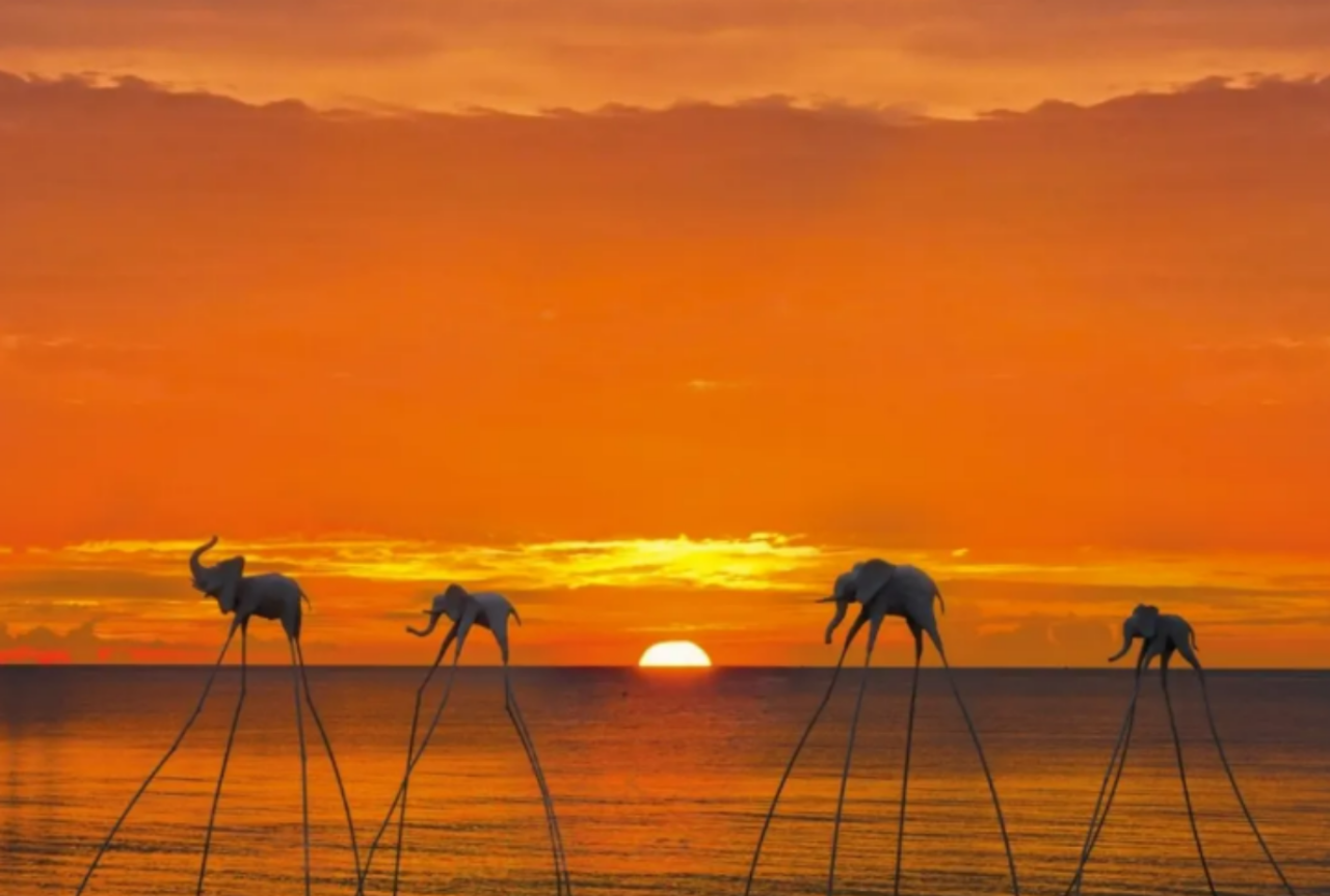 Starfish Beach, Sunset Sanato & Night Fishing Tour (Chinese Guide)