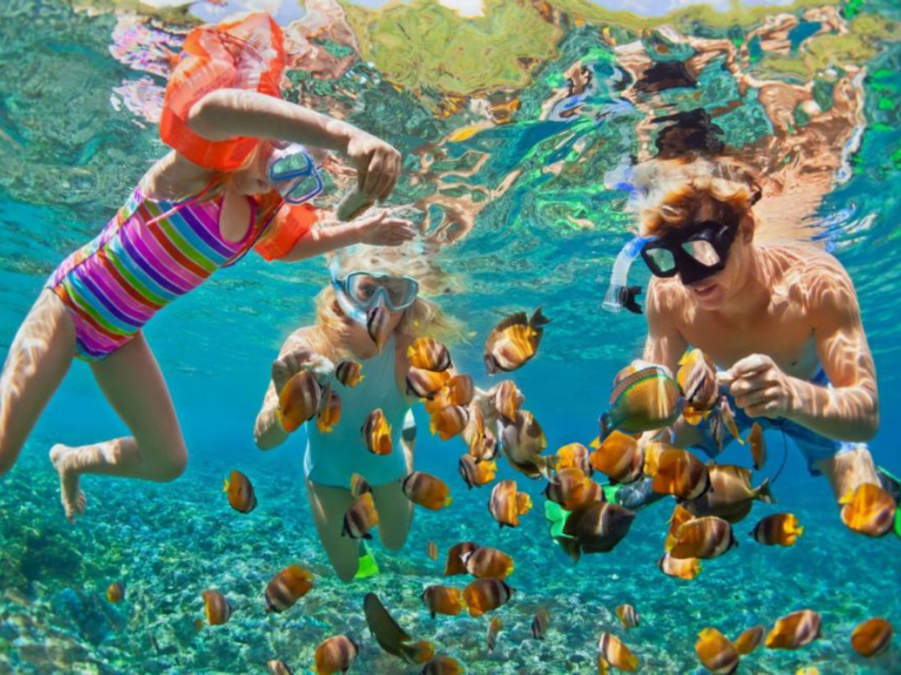 Fantastic Tour: Snorkeling - Seafood Lunch - Mini Beach | Nha Trang 2