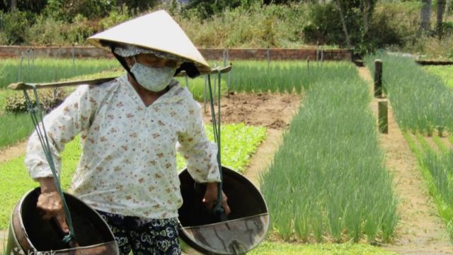 Tra Que, Thanh Ha Pottery, Cam Kim Village Tour with Aodai Rider 5