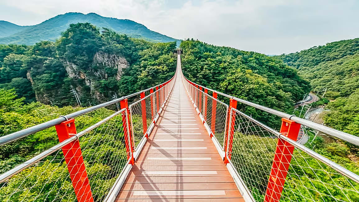 Korea | Best DMZ Tour from Seoul with No Forced Shopping
