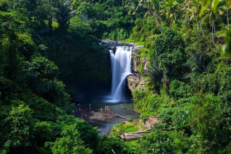 Swing and Waterfall Full Day Tour in Ubud 5