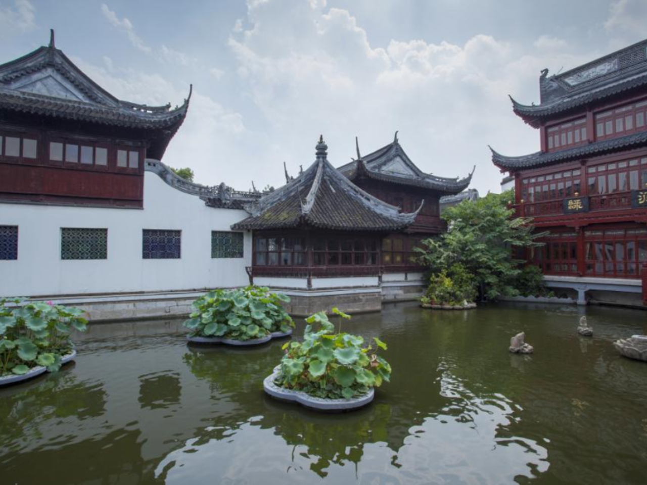 Shanghai, China｜Zhujiajiao Water Village + Shanghai City Highlights Private Day Tour 2