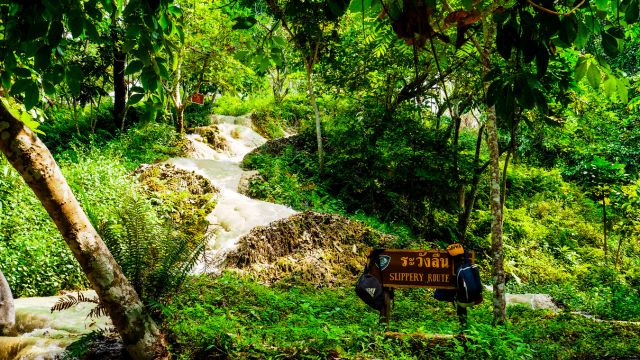 Sticky Waterfall Half-Day Adventure Tour in Chiang Mai | Thailand 4