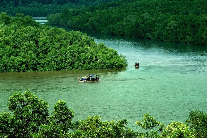 Can Gio Mangrove Biosphere Reserve Day Tour from Ho Chi Minh City | Vietnam