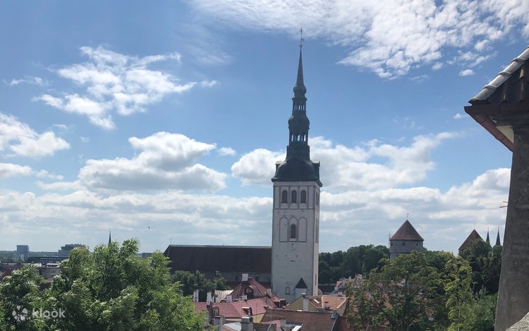 Tallinn Guided Day Tour from Helsinki with Ferry Crossing 2