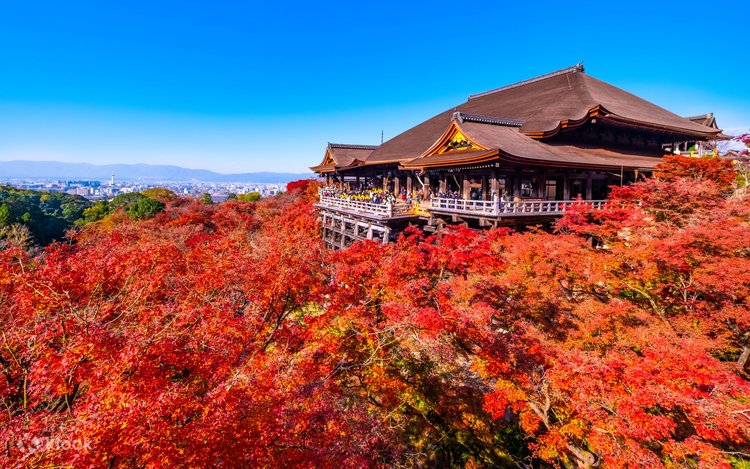 Fushimi Inari-Taisha | Arashiyama |Kiyomizu-Dera Day Tour from Kyoto 3