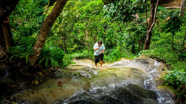 Chiang Mai Sticky Waterfall