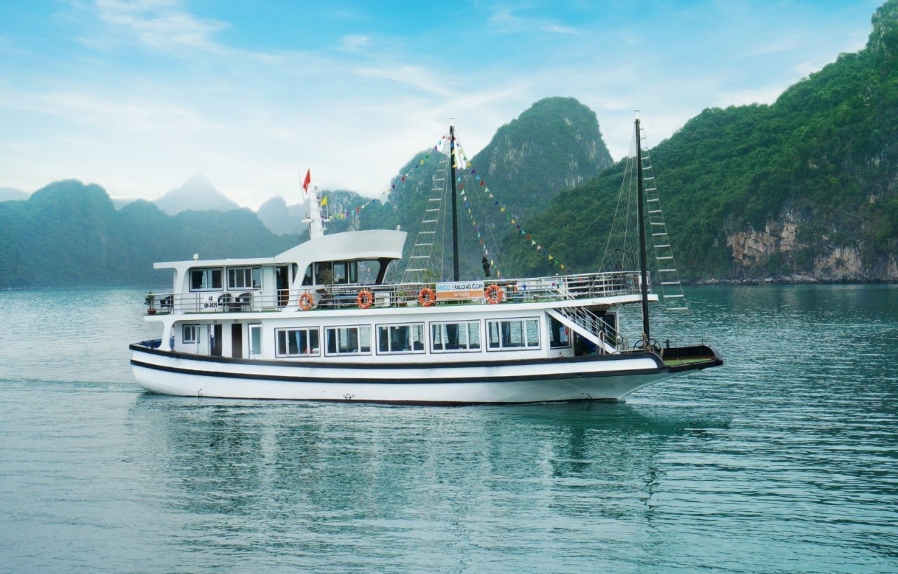 Cozy Bay Premium Day Cruise | Experience Ha Long Bay with Kayaking Included & Titov | Optional Transportation from Hanoi | Vietnam 4