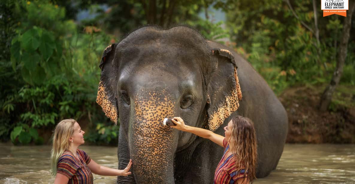 Elephant Jungle Sanctuary Phuket Experience 2