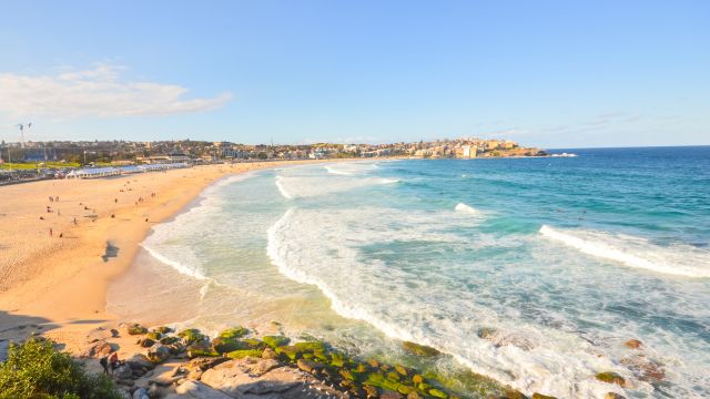 Sydney South Coast (Royal National Park / Wollongong / Kiyama) Tour