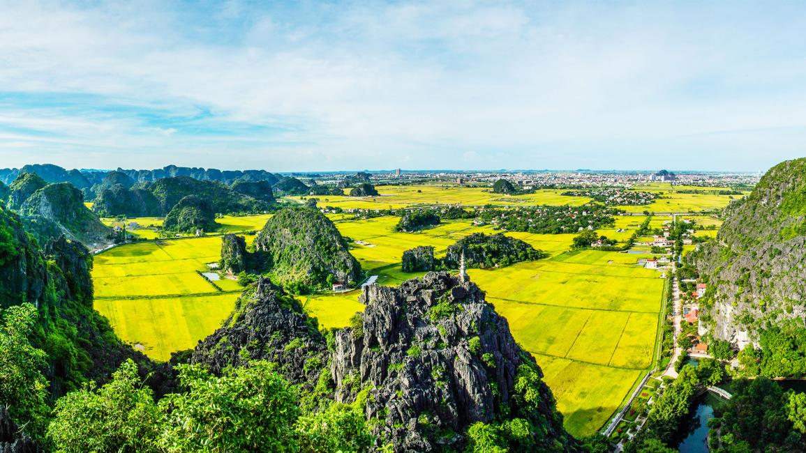 Day Tour| The best of Ninh Binh: Bai Dinh - Hoa Lu - Trang An - Tam Coc -Hang Mua (With Multiple Languages Guides and Multiple Tour Options)| From Hanoi/Ninh Binh, Vietnam 2