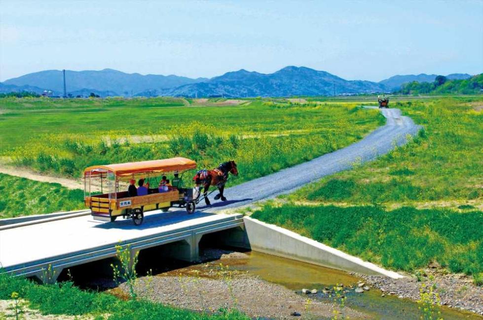 [Guaranteed Departure for Solo Traveler] | Kyoto Arashiyama Half-Day Tour -Sagano Scenic Railway & Hozugawa River Boat Ride & Kyoto Horse Carriage 4