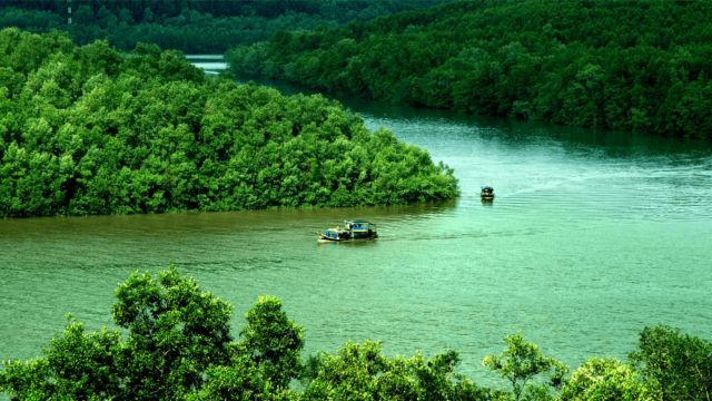 Discover Monkey Island - Crocodile Farm | Can Gio | From Ho Chi Minh 2