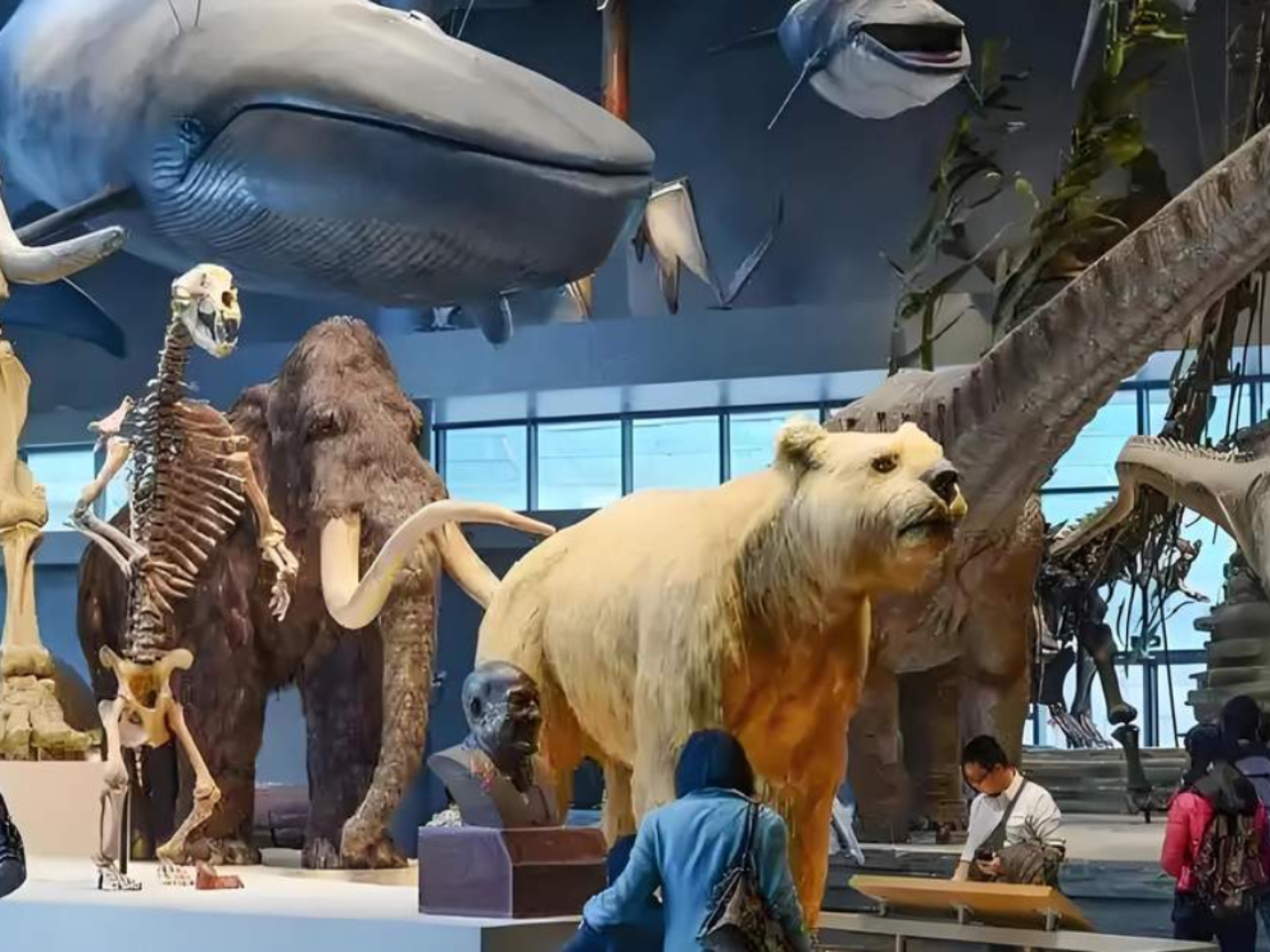 Shanghai Natural History Museum Half-Day Tour (2-hour in-depth course + optional entrance fee)