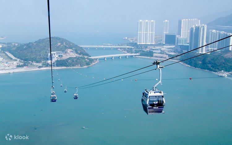 Lantau Island Day Trip | Big Buddha, Dolphin Watching & Cable Car 3