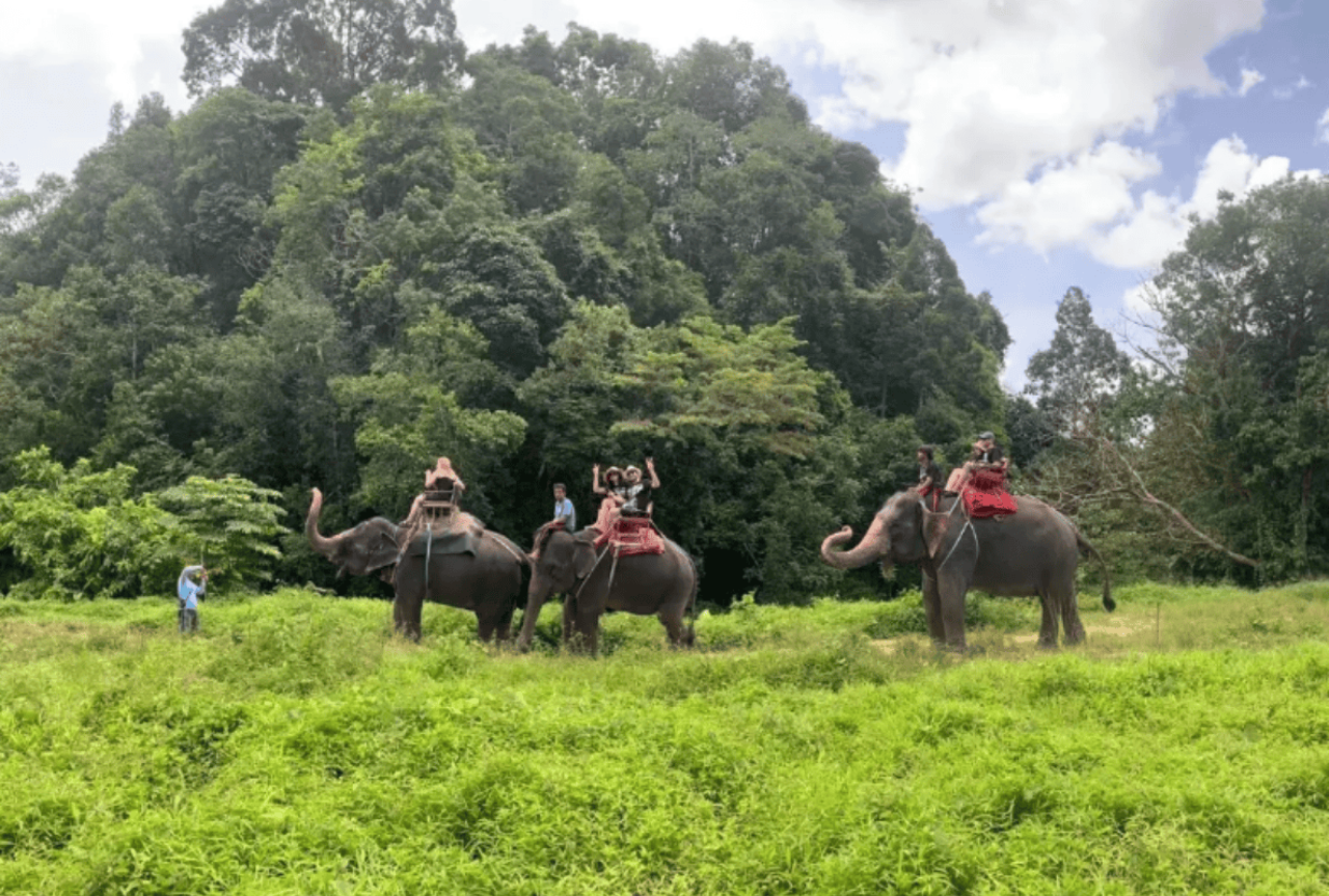 Departing from Phuket: Phang Nga Bay Whitewater Rafting Day Tour|Optional Jungle ATV/Elephant Riding Experience 5