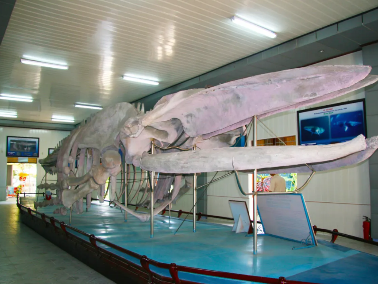 Nha Trang City Half Day Tour 3